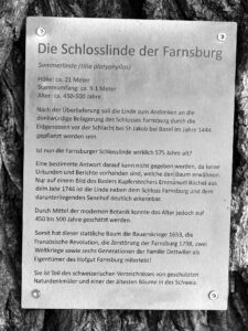 Das Dach: Informationen und Funktionalitäten